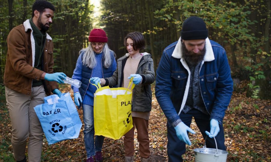 diverse-group-of-volunteers-cleaning-up-forest-from-waste-community-service-concept.jpg