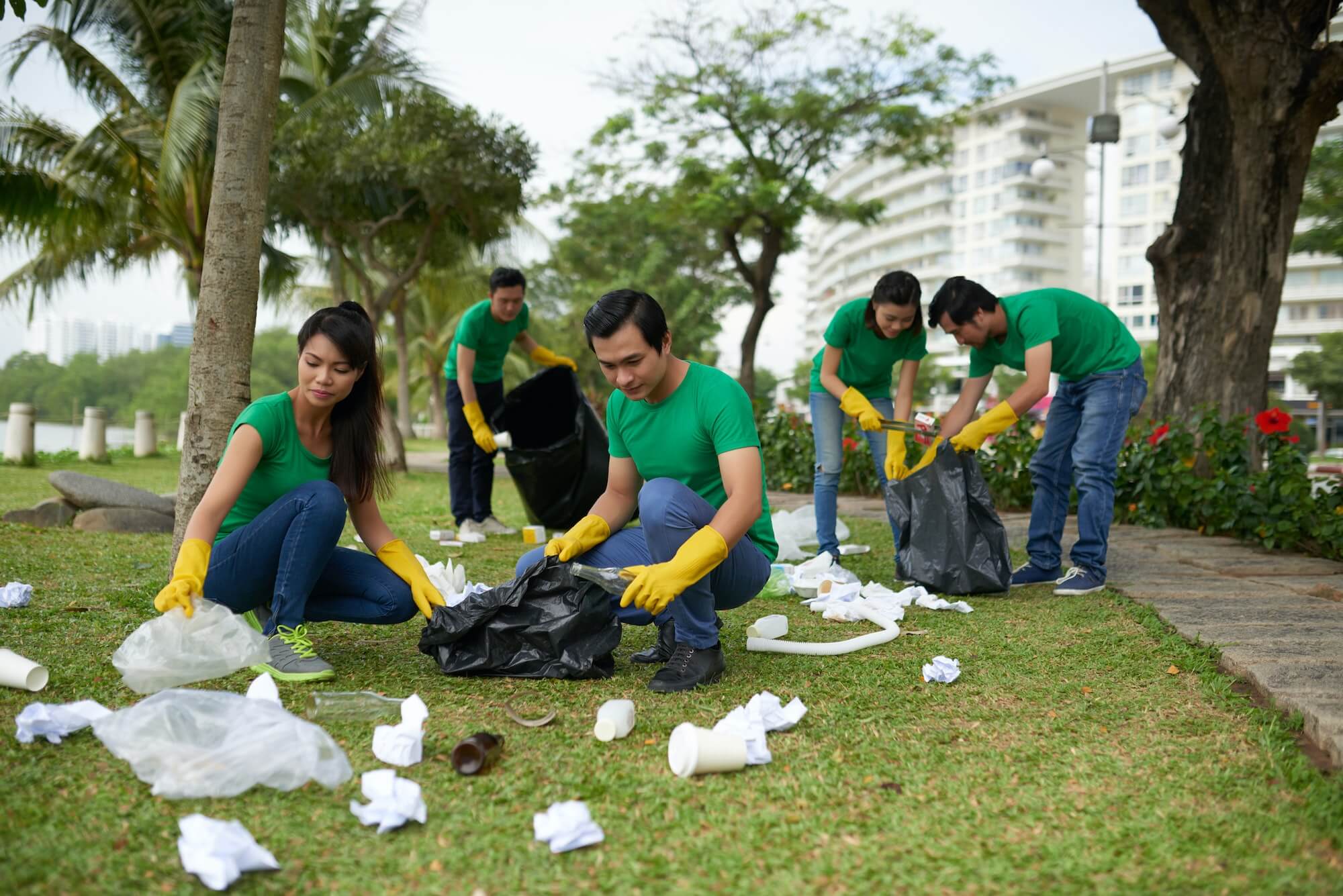 Cleaning park